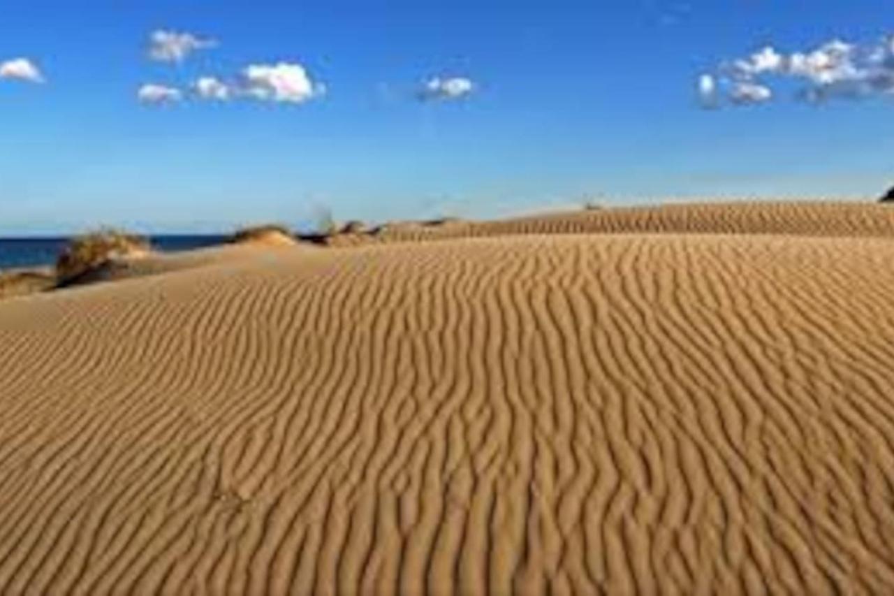 5 Apto Frente Al Mar Excelentes Vistas Piscina Lägenhet Arenales del Sol Exteriör bild